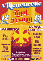 Affiche Total Festum 2015